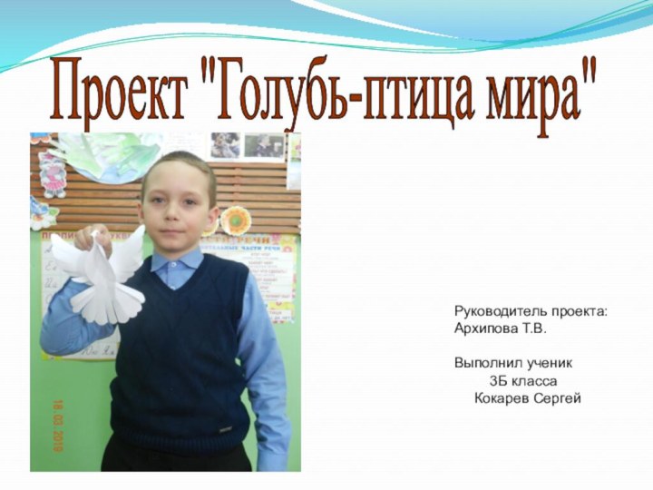 Руководитель проекта:      Архипова Т.В.Выполнил ученик