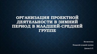 Организация проектной деятельности в зимний период в младшей-средней группе