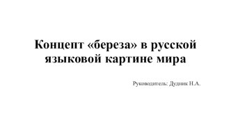 Учебный проект на тему Концепт береза в русской языковой картине мира