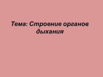 Презентация к лекции по анатомии и физиологии человека Строение органов дыхания