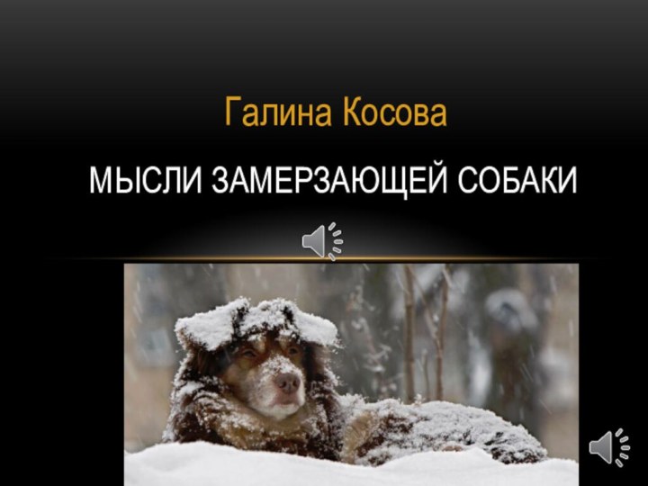 Галина КосоваМысли замерзающей собаки