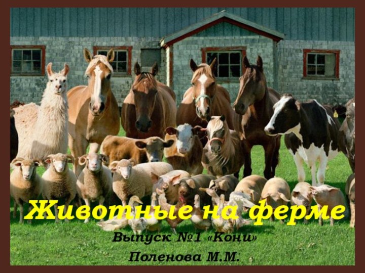 Животные на фермеЖивотные на фермеВыпуск №1 «Кони»Поленова М.М.