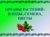 Органы растений, плоды, семена, цветы