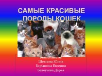 Самые красивые породы кошек (7-8 класс)