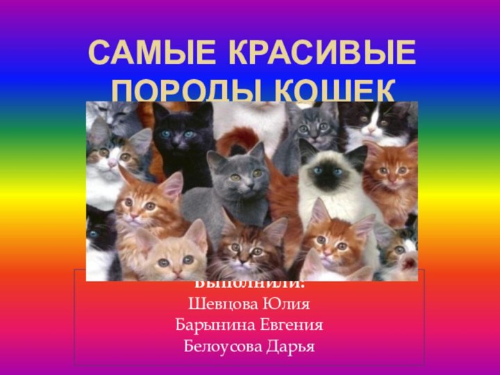 САМЫЕ КРАСИВЫЕ ПОРОДЫ КОШЕКВыполнили:Шевцова ЮлияБарынина ЕвгенияБелоусова Дарья