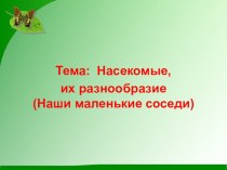 Презентация по окружающему миру Насекомые, разнообразие насекомых