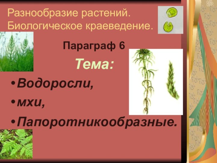 Параграф 6 Тема: Водоросли, мхи,Папоротникообразные.Разнообразие растений. Биологическое краеведение.