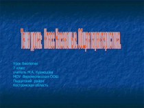 Презентация по биологии 7 кл Класс насекомые. Общая характеристика и назначение