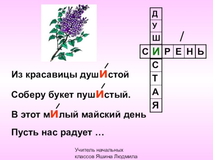 Учитель начальных классов Яшина Людмила ВасильевнаИз красавицы душистойСоберу букет пушистый. В этот