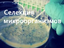 Селекция микроорганизмов