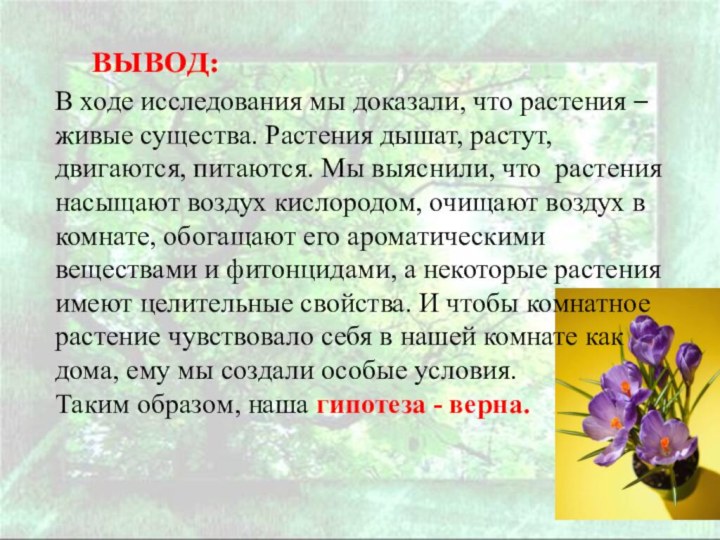 ВЫВОД: В ходе исследования мы доказали, что растения – живые существа. Растения