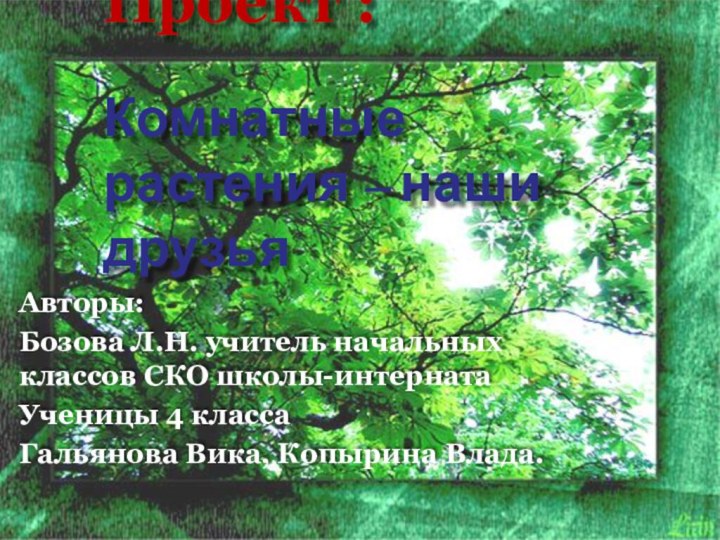 Проект :  Комнатные растения – наши друзья  Авторы:Бозова Л.Н. учитель