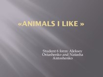 Презентация к проекту по английскому языку Animals I like  Антощенко Натальи, Остащенко Алексея.