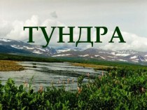 Тундра