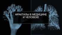 Презентация по биологии на тему : Фракталы в медицине и человеке