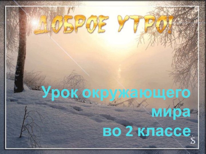 Урок окружающего мира во 2 классе