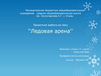 Презентация по теме Достопримечательности родного края - Ледовая арена.Проектная работа.3 класс