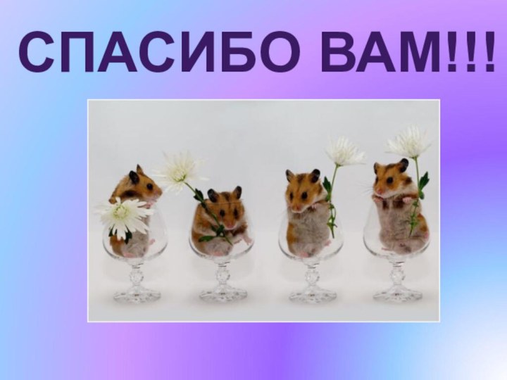 СПАСИБО ВАМ!!!