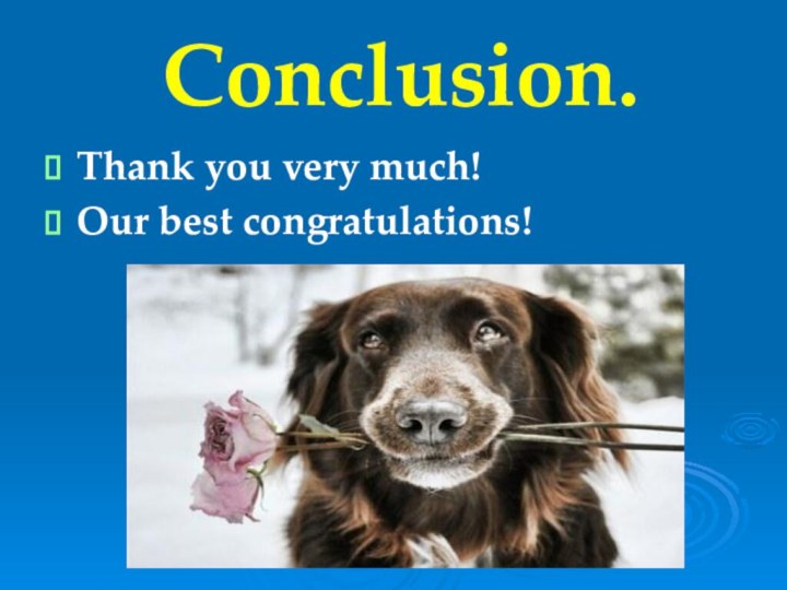 Conclusion.Thank you very much!Our best congratulations!