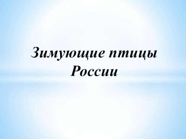 Зимующие птицы России