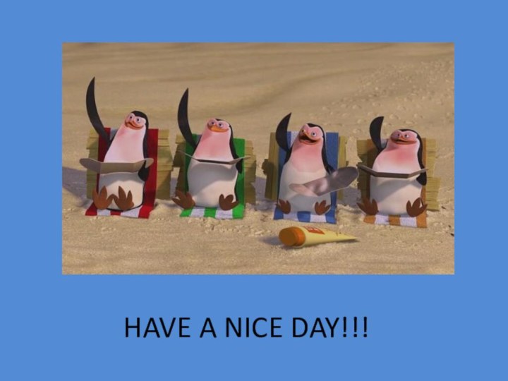 HAVE A NICE DAY!!!