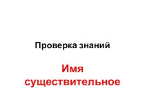 Презентация к уроку русского языка Проверка знаний. Имя существительное