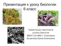 Презентация по биологии на тему Организм как среда обитания (6 класс)
