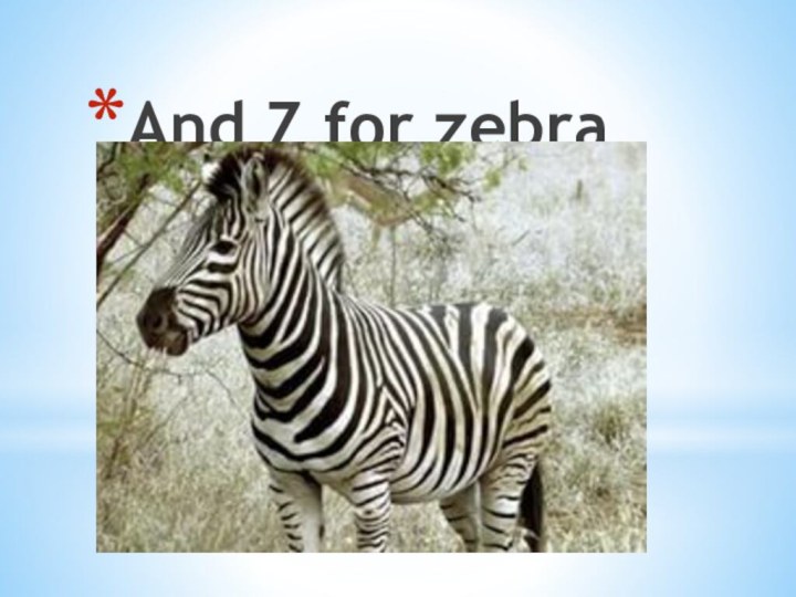 And Z for zebra