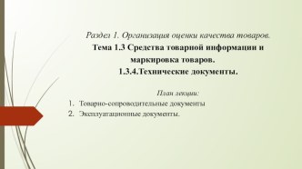 Презентация к лекции на тему Технические документы.