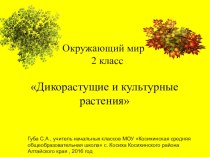 Презентация по окружающему миру на темуДикорастущие и культурные растения