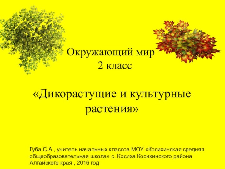 «Дикорастущие и культурные растения»Окружающий мир      2 классГуба