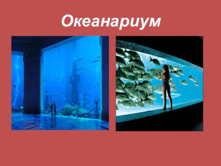 Океанариум