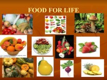 FOOD FOR LIFE Е
