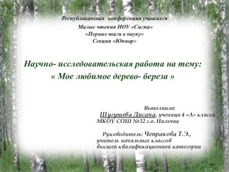 Презентация. Исследовательская работа на тему: Березка