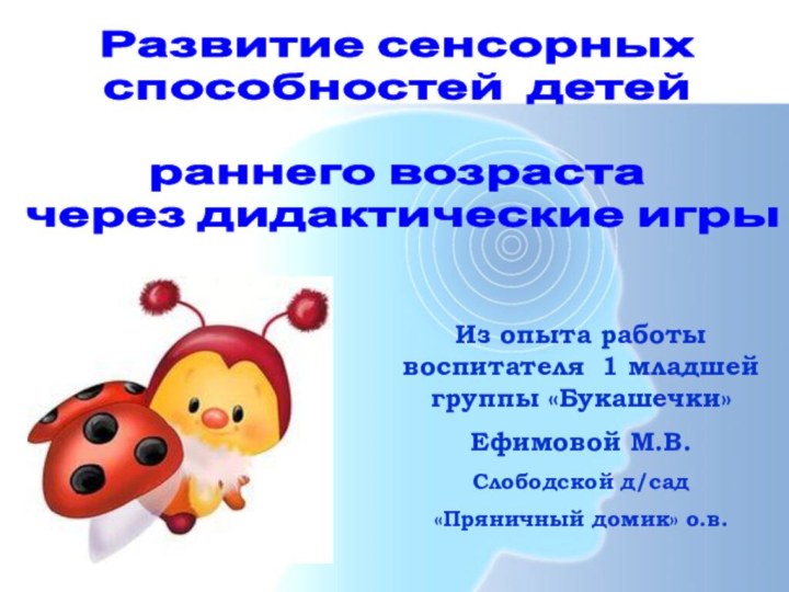 Из опыта работы воспитателя 1 младшей группы «Букашечки»Ефимовой М.В.Слободской д/сад «Пряничный домик»