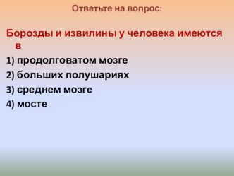 Презентация по биологии на тему Функции головного мозга (8 класс)