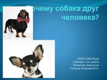 Презентация по окружающему миру на тему Собаки (2 класс)