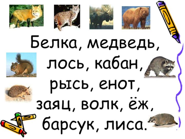 Белка, медведь, лось, кабан, рысь, енот, заяц, волк, ёж, барсук, лиса.