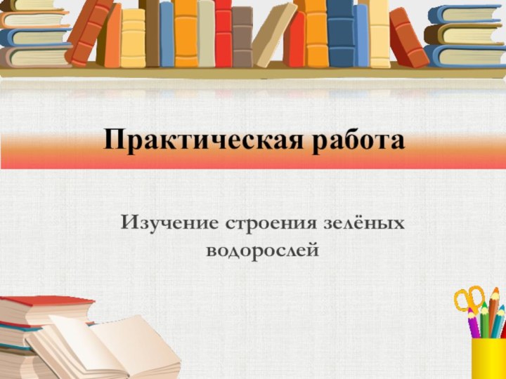 Изучение строения зелёных водорослейПрактическая работа