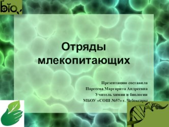 Презентация по биологии на тему Отряды млекопитающих