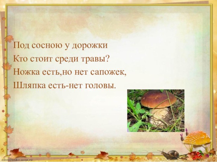 Под сосною у дорожкиКто стоит среди травы?Ножка есть,но нет сапожек,Шляпка есть-нет головы.