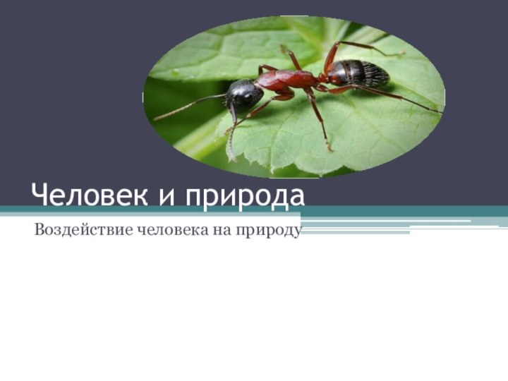 Человек и природаВоздействие человека на природу