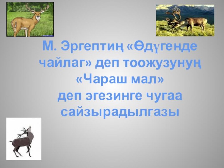 М. Эргептиң «Өдүгенде чайлаг» деп тоожузунуң«Чараш мал» деп эгезинге чугаа сайзырадылгазы