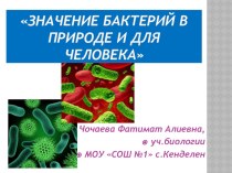 Бактерии: строение и жизнедеятельность