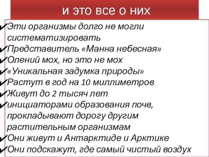 Эти организмы долго не могли систематизироватьПредставитель «Манна небесная»Олений мох, но это не