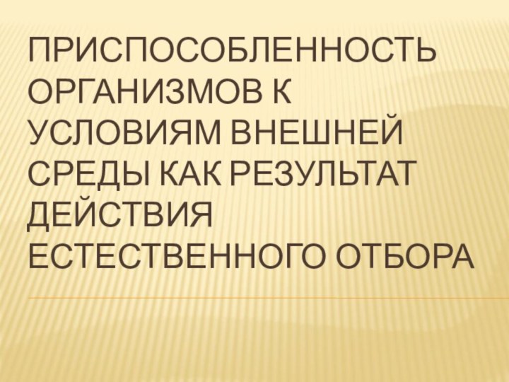 Приспособленность организмов к условиям внешней среды как результат действия естественного отбора