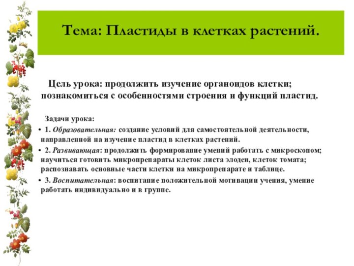 Тема: Пластиды в клетках растений.   Цель урока: продолжить изучение