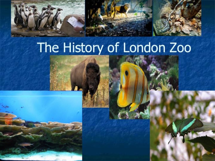 The History of London Zoo