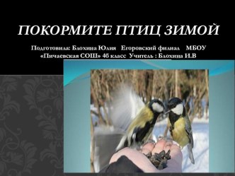 Проект Покормите птиц зимой