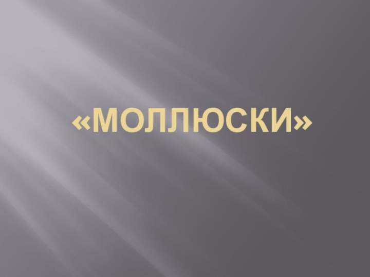 «Моллюски»